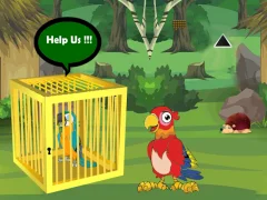 게임 Release Trapped Macaw Buddy 온라인