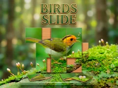 게임 Birds Slide 온라인