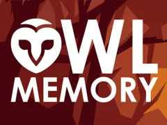 게임 Owl Memory 온라인
