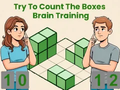 게임 Try To Count The Boxes Brain Training 온라인