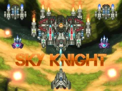 게임 Sky Knight 온라인