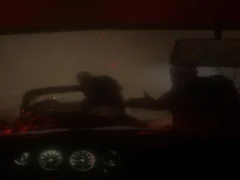 게임 Spooky Jungle Safari 온라인