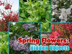 게임 Spring Flowers: Hidden Objects 온라인