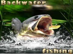 게임 Backwater Fishing 온라인