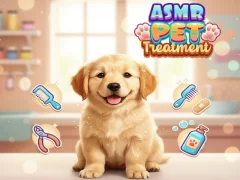 게임 Asmr Pet Treatment 온라인