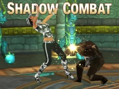 게임 Shadow Combat 온라인