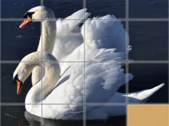 게임 Animals Slide Puzzle 온라인