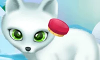 게임 Paws to Beauty Arctic Edition 온라인