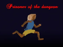 게임 Prisoner of the dungeon 온라인