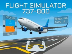 게임 Flight Simulator 737-800 온라인