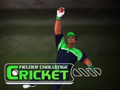 게임 Cricket Fielder Challenge 온라인