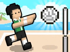 게임 Volley Random 온라인