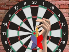 게임 Darts 501 온라인