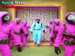 게임 Squid Maze Challenge 온라인