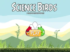 게임 Science Birds 온라인