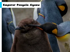 게임 Emperor Penguin Jigsaw 온라인