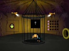 게임 Toucan Rescue 온라인