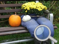 게임 Autumn Garden Find 100 butterflies 온라인
