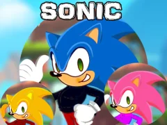 게임 Sonic Dress Up 온라인