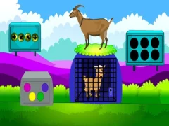 게임 Lamb Escape 온라인