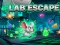 게임 Lab Escape 온라인