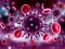 게임 Coronavirus Puzzle 온라인