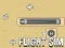 게임 Flight Sim 온라인