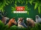 게임 ZOO Trivia 온라인