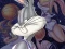 게임 Space Jam 온라인