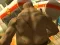 게임 Monster Simulator 온라인