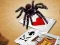 게임 Jumping Spider 온라인
