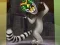 게임 King Julien: Trommel-Tanz 온라인