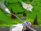 게임 Monte's Zott: Flight on a spoon 온라인