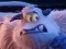 게임 Smallfoot Puzzle 온라인