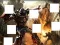 게임 Transformers 3 image puzzles 온라인