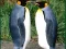 게임 Penguin Puzzle 온라인