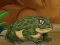게임 Frogs Matching 온라인