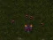 게임 Starcraft 3 온라인