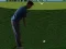 게임 Flash Golf 3D 온라인