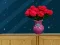 게임 Space House Escape 온라인