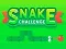 게임 Snake Challenge 온라인