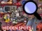 게임 Hidden Spots In The Room 온라인