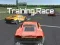 게임 Training Race 온라인