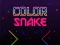 게임 Color Snake 온라인