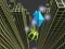 게임 Marble Rolling Stunt 온라인