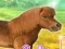 게임 My Dear Pony 온라인