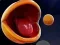 게임 Pac-Man 3d 온라인