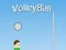 게임 VolleyBall 온라인