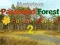 게임 Mysterious Password Forest Autumn Edition 2 온라인