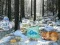 게임 Winter Wonderland Forest Adventure 온라인